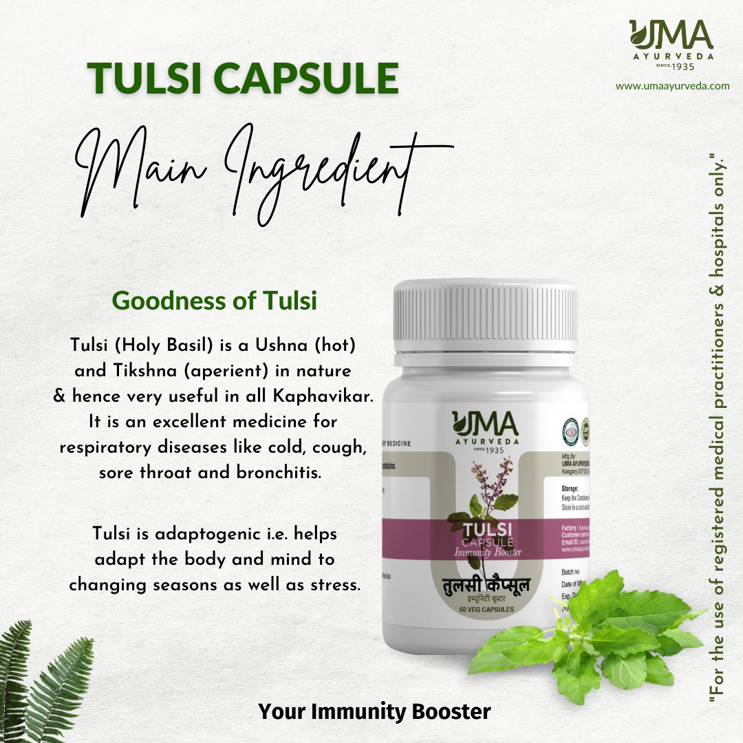 Ayurvedic Tulsi Capsule For Cold, Cough