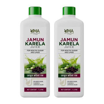 Jamun Karela Juice | 1L