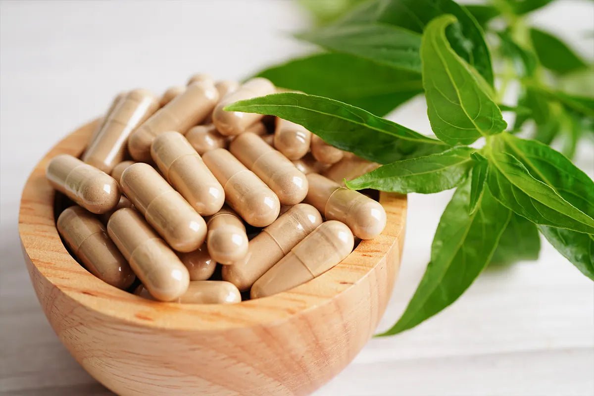 Ashwagandha Capsules: Natural Support for Vitality and Well-being