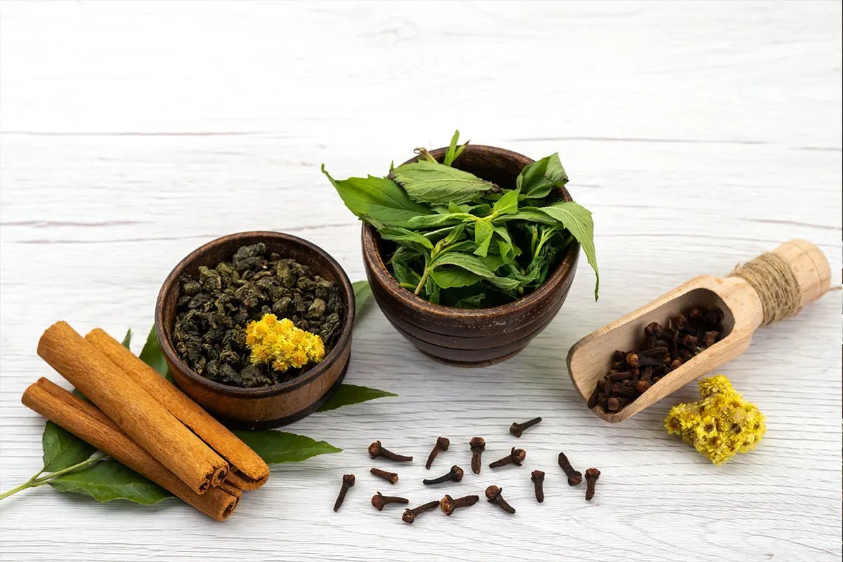 Boosting Kids' Memory with Brahmi: A Natural Approach to Cognitive Health