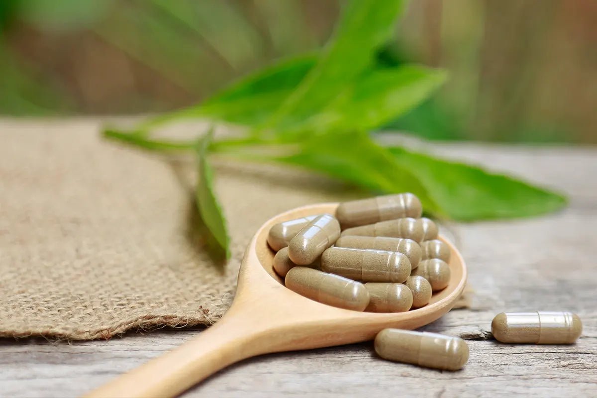 Discover Calm and Balance with Ashwagandha Capsules: Your Natural Stress Relief Solution