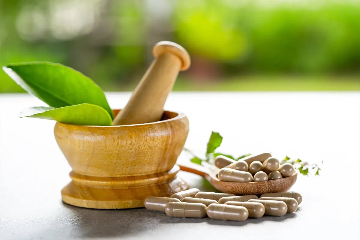Embrace Mental Clarity with Organic Brahmi Capsules