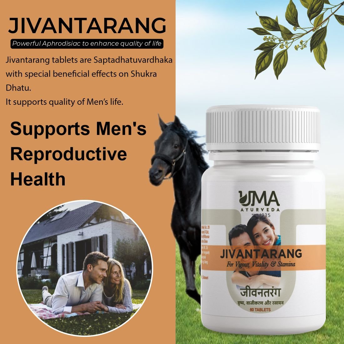 "Uma Ayurveda Jivan Tarang Performance Booster Ayurvedic Tablets for Men | Ayurvedic Tablets for Strength Booster for Men | Energy Booster Tablets for Men