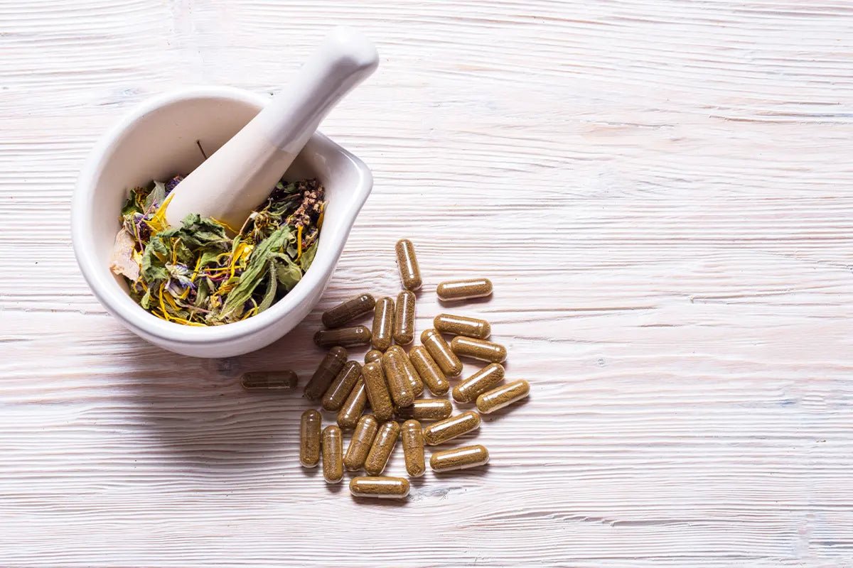 Unlock the Power of Brahmi for Enhanced Brain Memory