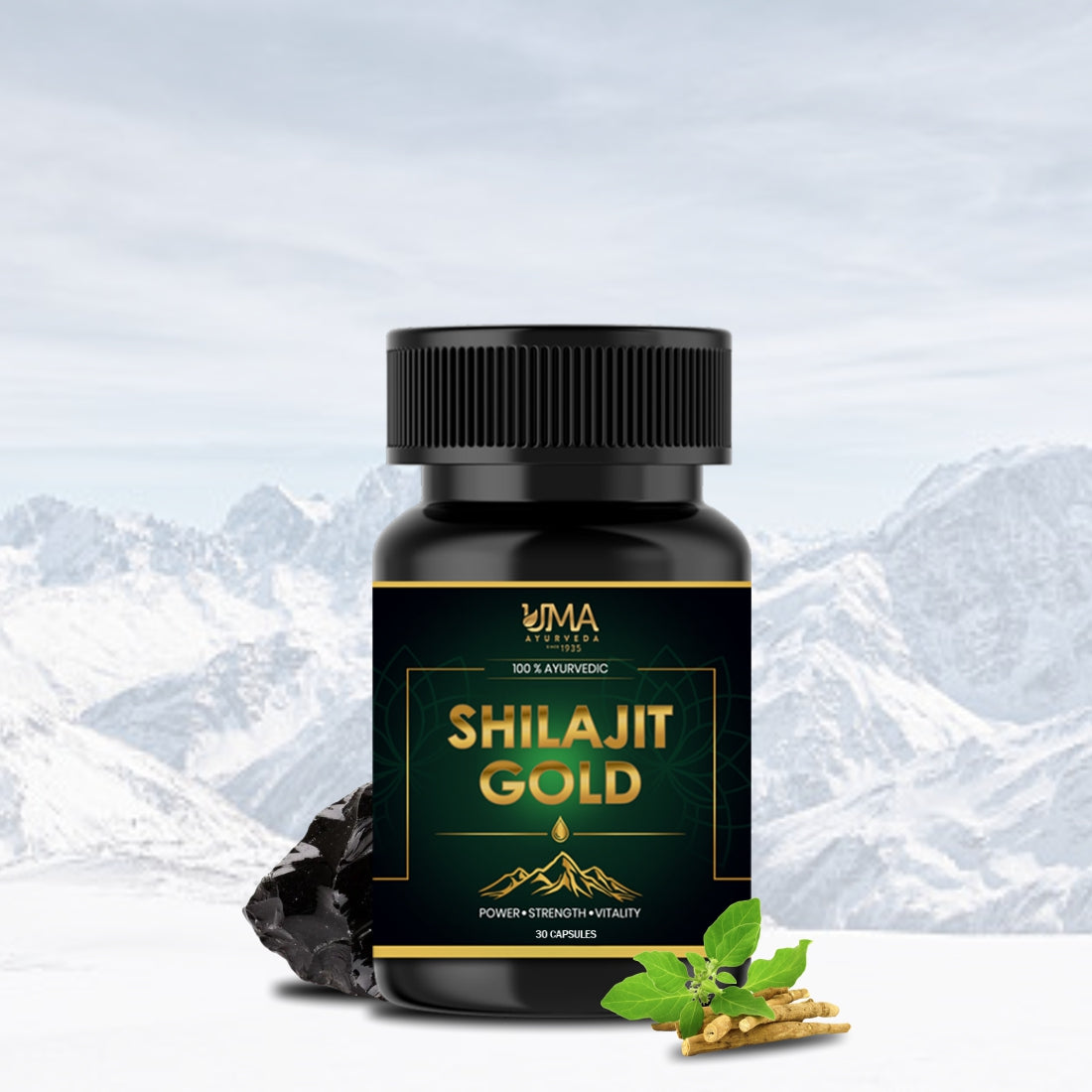 Shilajit Gold | Shilajit, Swarna, Rajat Bhasma & 7 Potent Herbs | 30 C