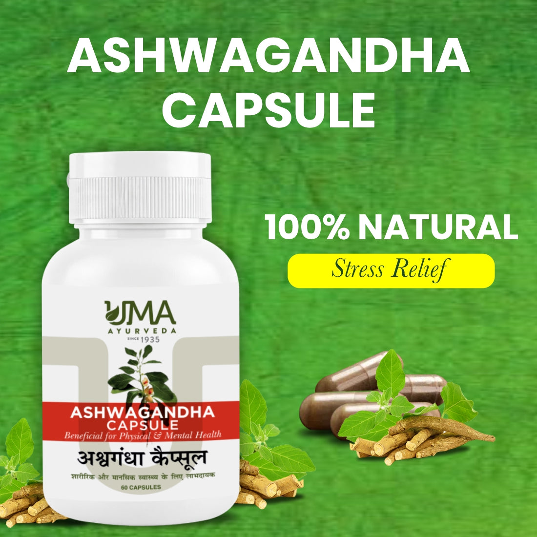 Ashwagandha Capsules | 60 Caps