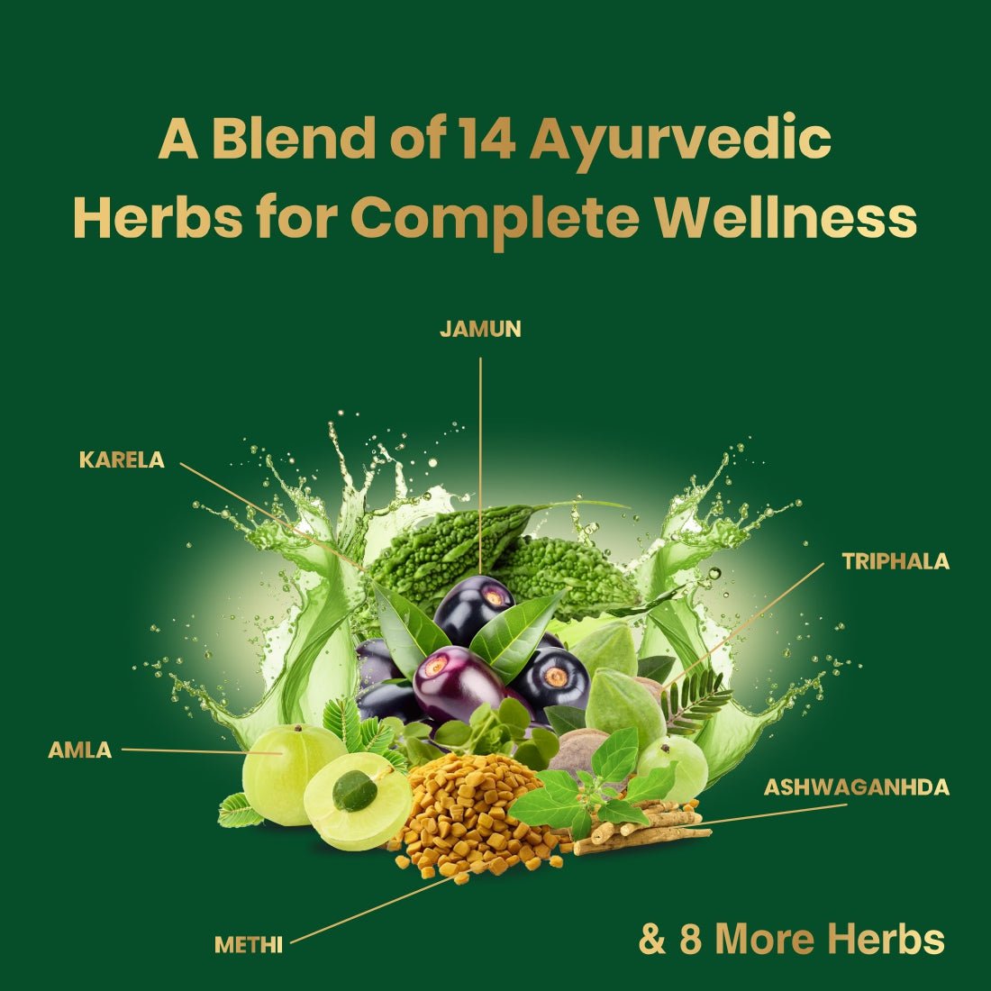 Jamun Karela Plus | 14 Herbs | Daily Metabolic Support | 1L