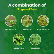 Tulsi Drops | Panch Tulsi | 30 ML