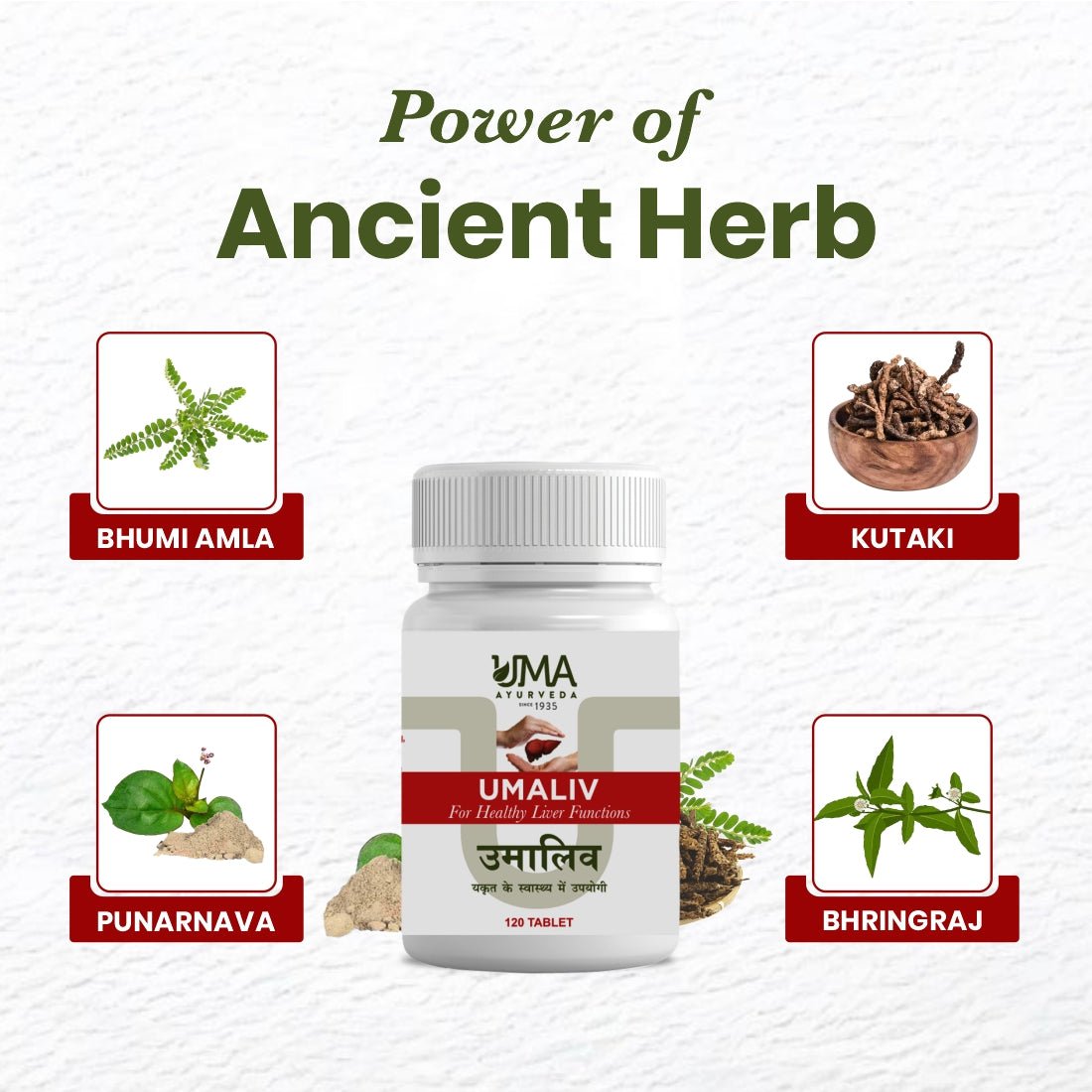 Umaliv | Liver Wellness & Metabolic Support | 120 Tab