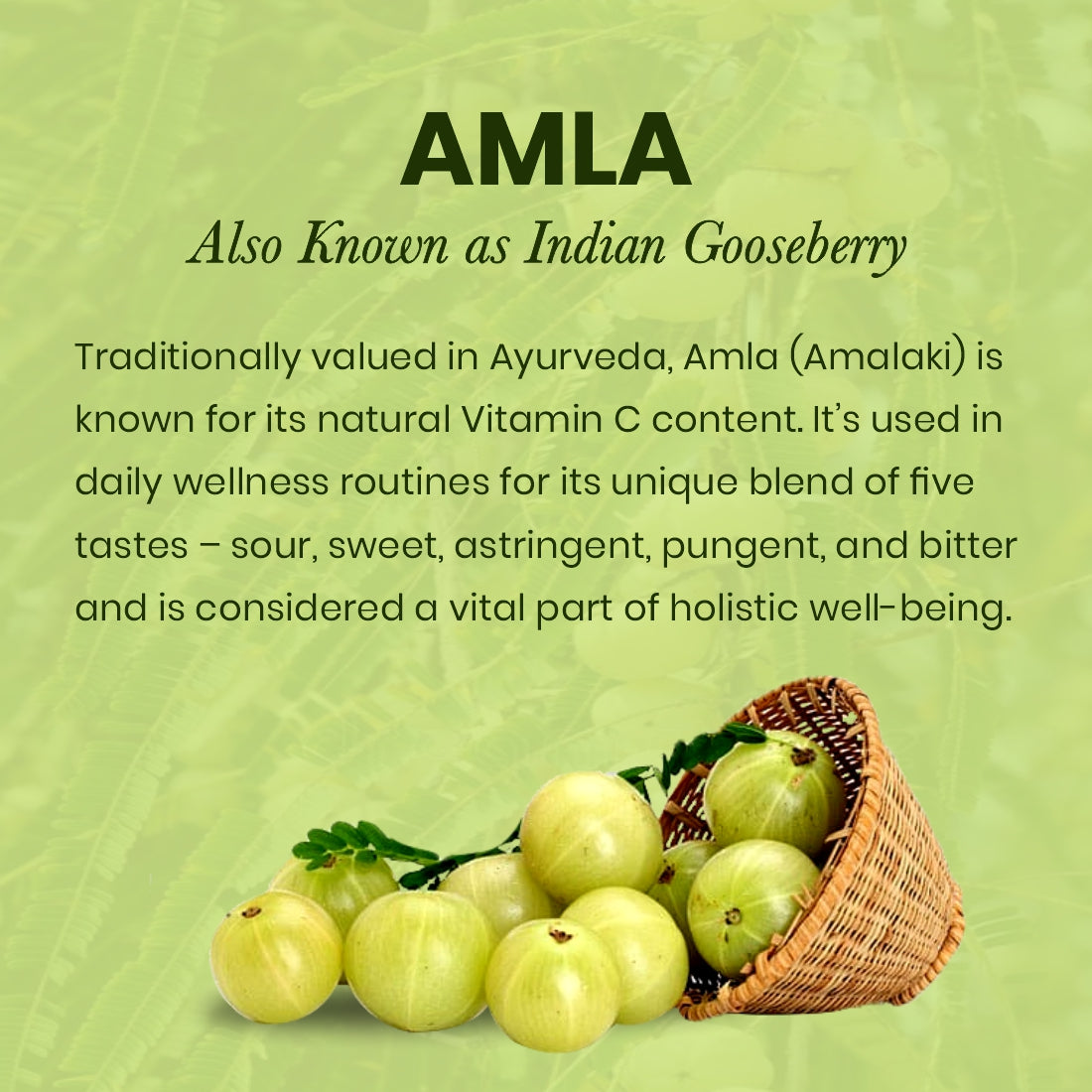 Amla Juice | Herbal Immunity & Antioxidant Support | 1L