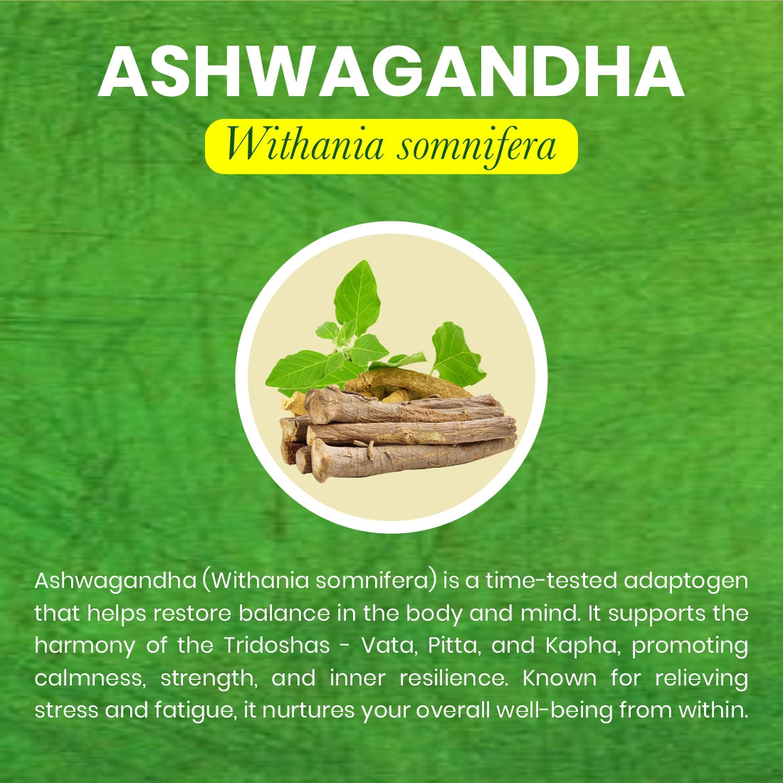 Ashwagandha Capsules | 60 Caps