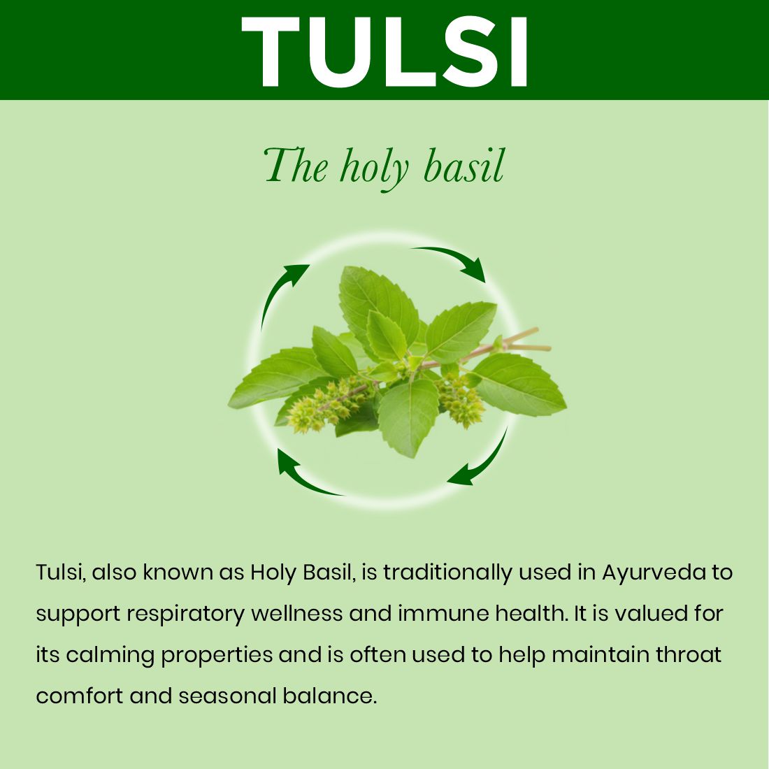 Tulsi Juice | 1 L