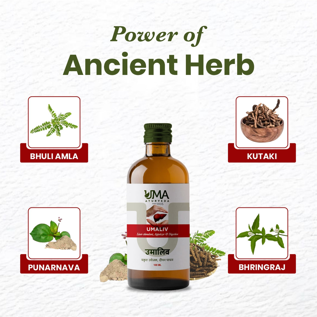 Umaliv Syrup | For Fatty Liver & Weak Liver Function | 200 ML