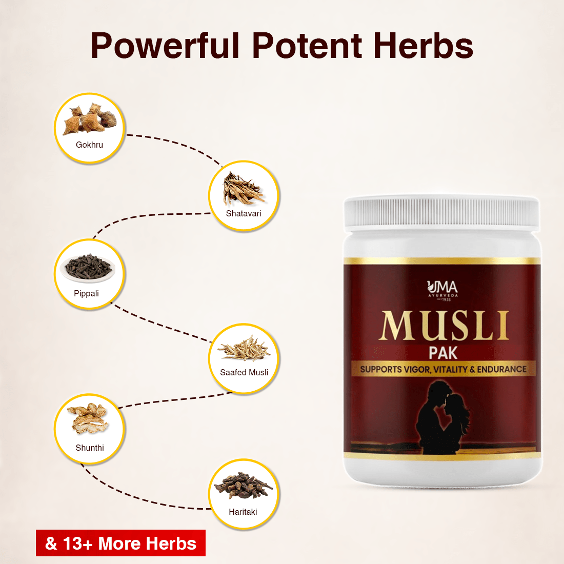 Musli Pak | 250 Gm