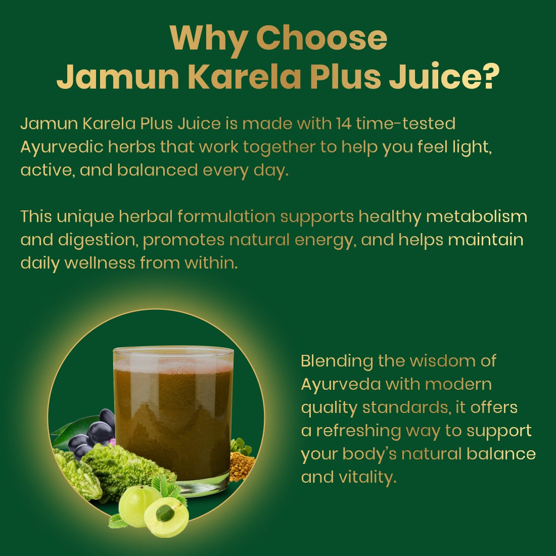 Jamun Karela Plus | 14 Herbs | Blood Sugar Management | Diabetic Care | 1L