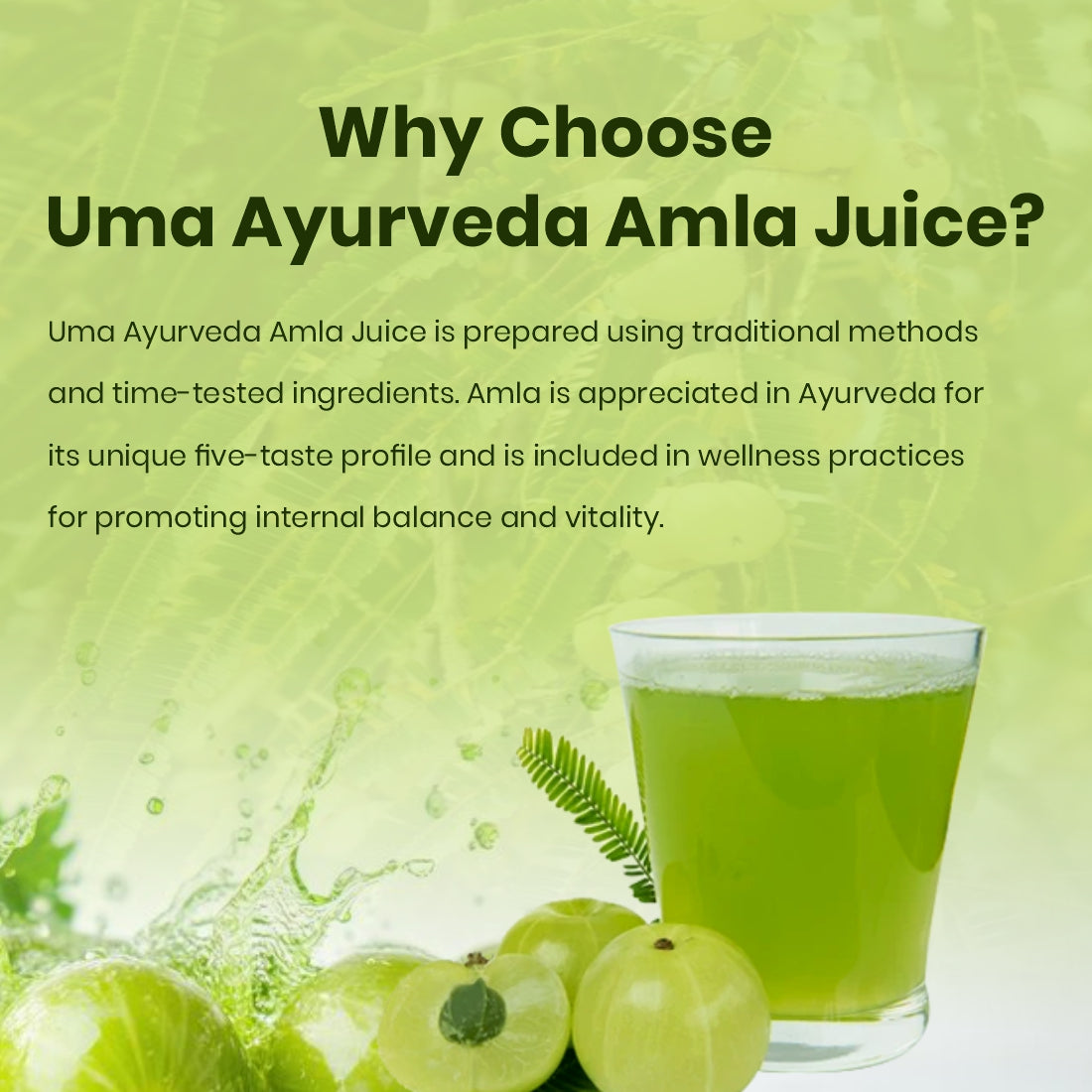 Amla Juice | Herbal Immunity & Antioxidant Support | 1L