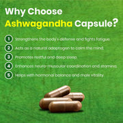 Ashwagandha Capsules | 60 Caps
