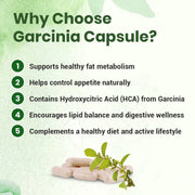 Garcinia Capsule | 60 Caps