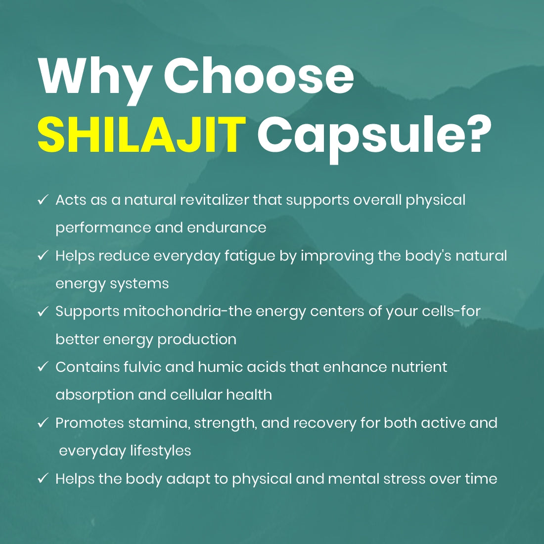 Shilajit Capsule | Pure Shilajit | 60 Tab