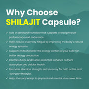Shilajit Capsule | Pure Shilajit | 60 Tab