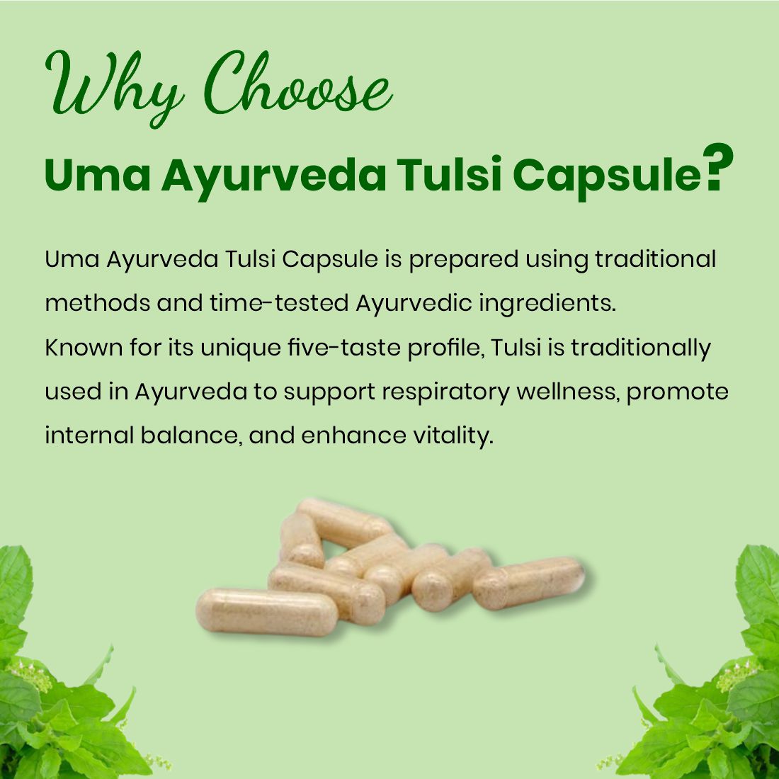 Tulsi Capsules | 60 Caps