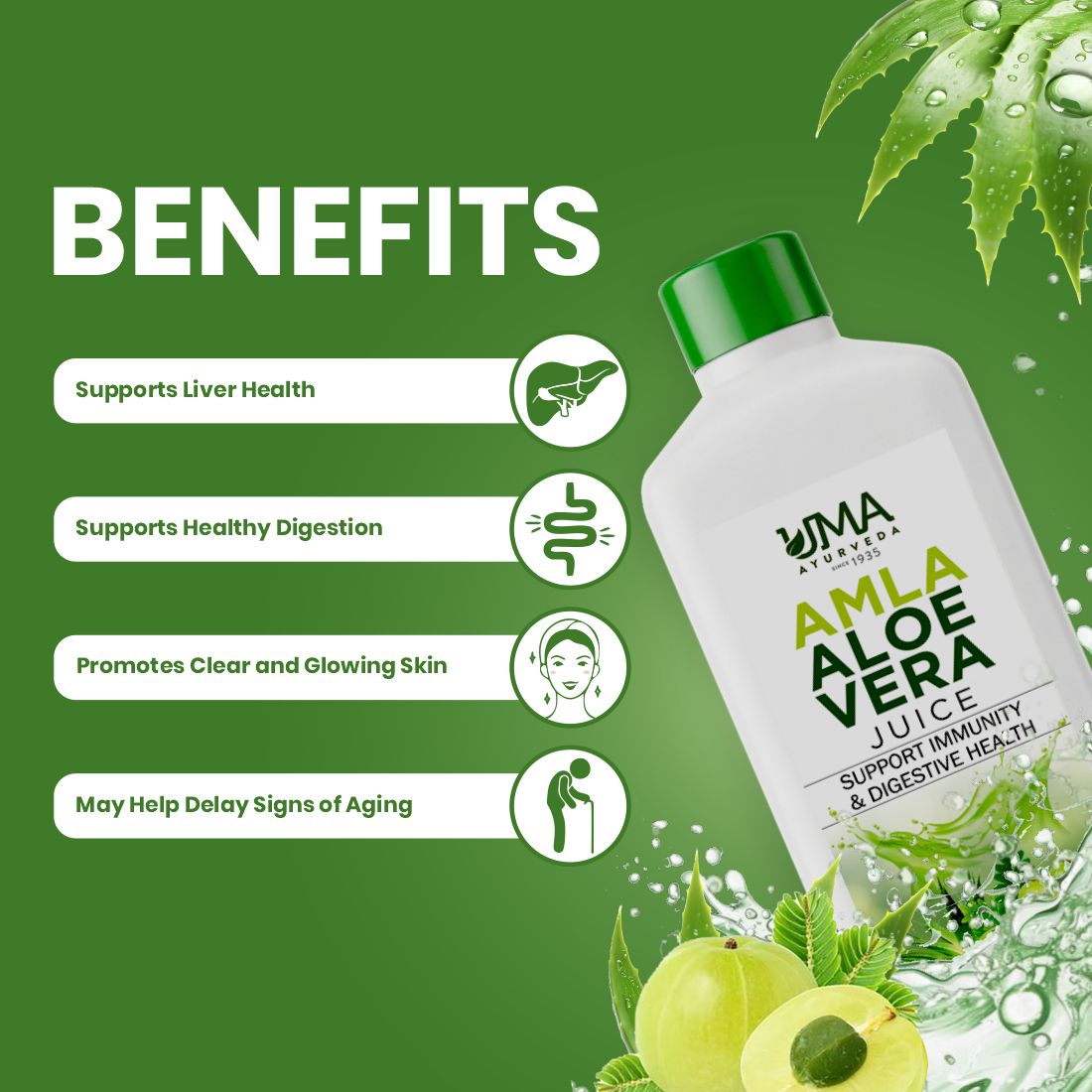 Amla AloeVera Juice | 1 L