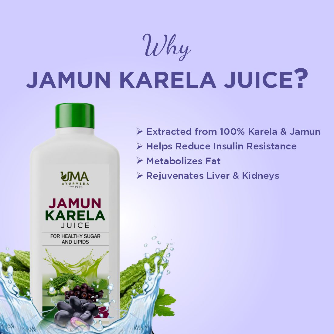 Jamun Karela Juice | Metabolic & Digestive | 1L