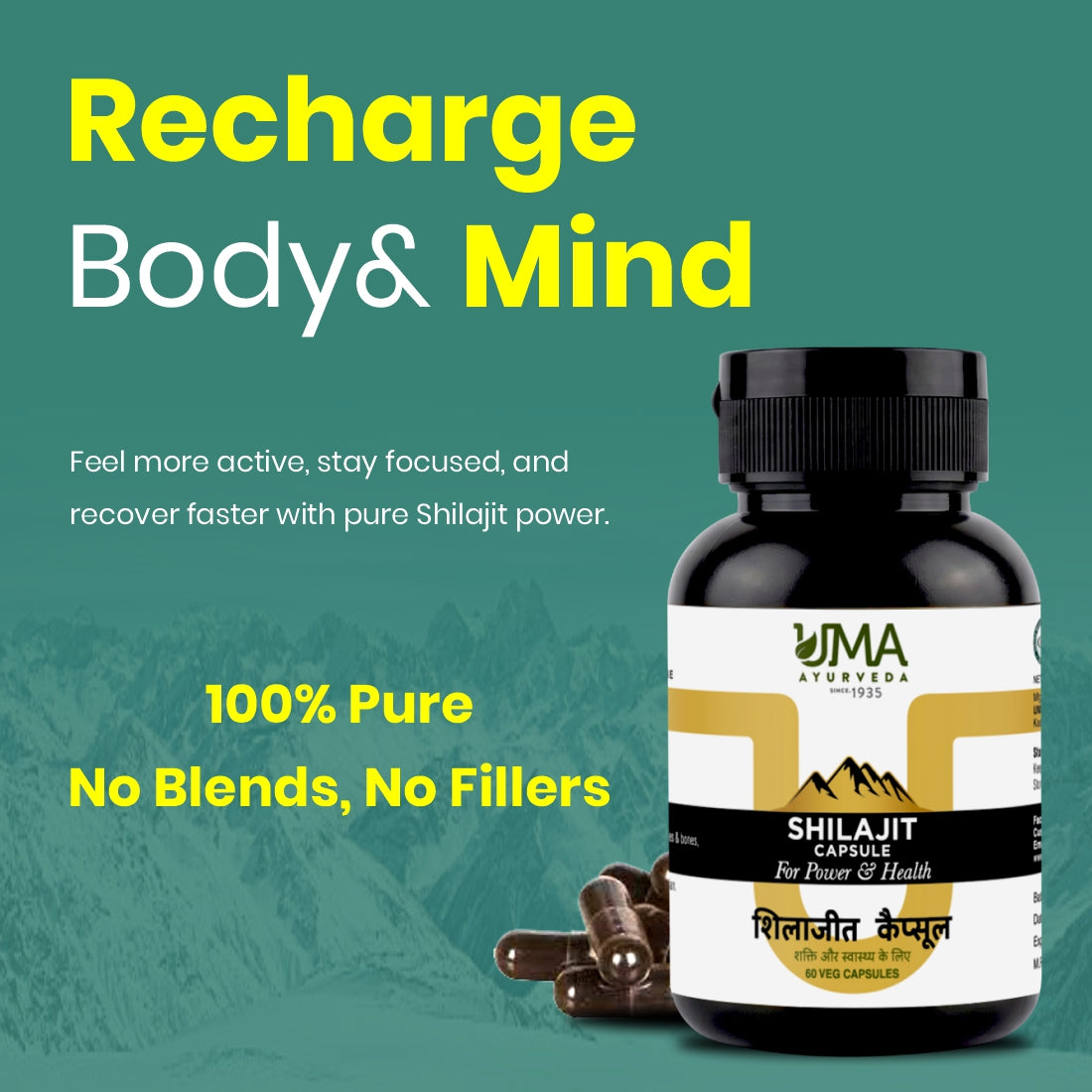 Shilajit Capsule | Pure Shilajit | 60 Tab