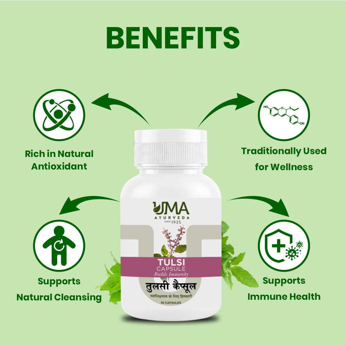 Tulsi Capsules | 60 Caps