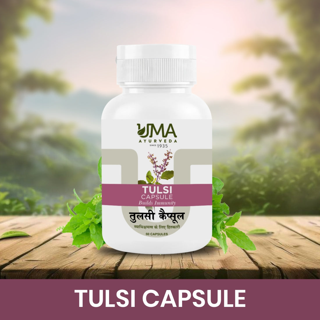Tulsi Capsules | 60 Caps