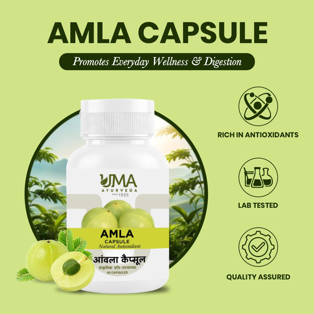 Amla Capsule | 60 Caps
