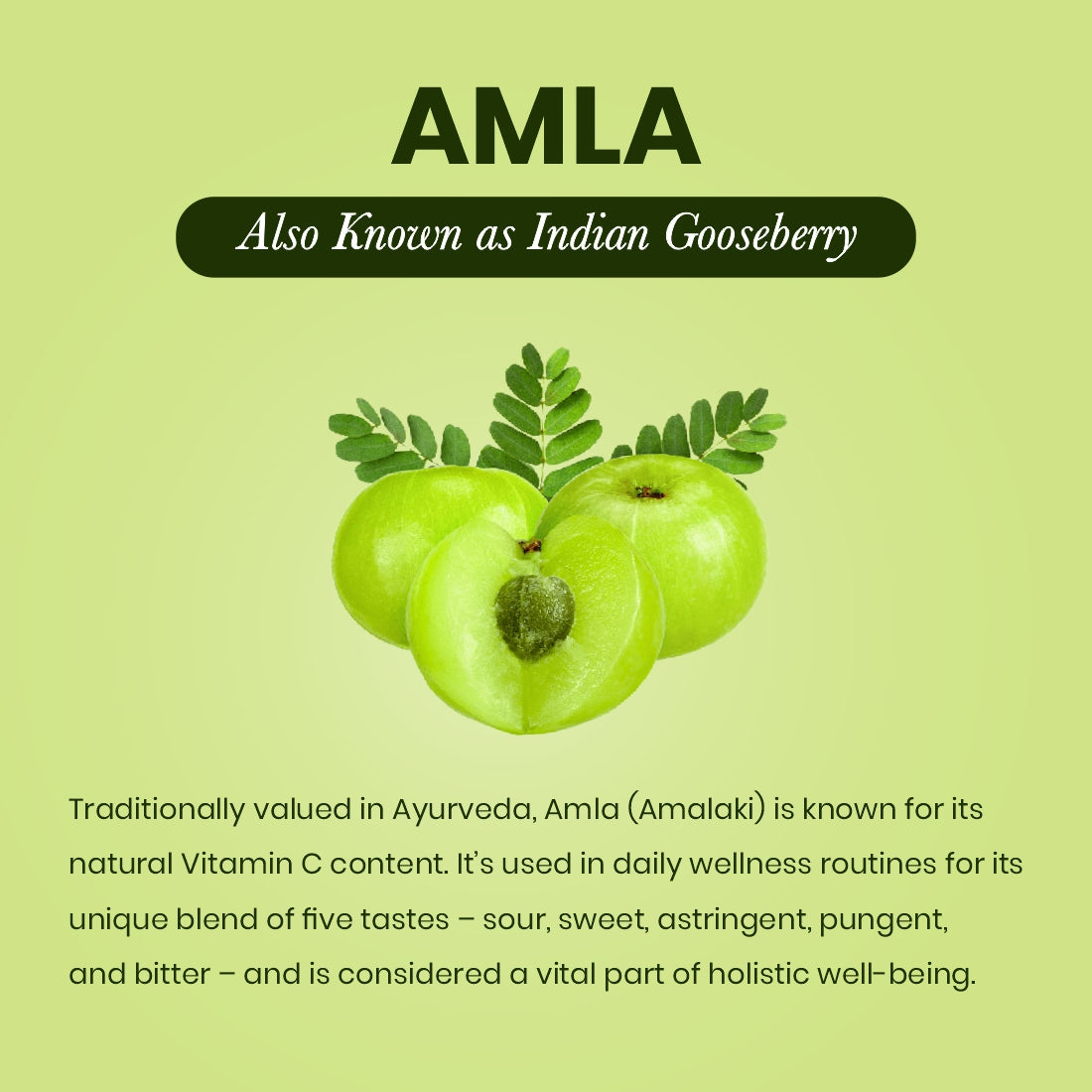 Amla Capsule | 60 Caps