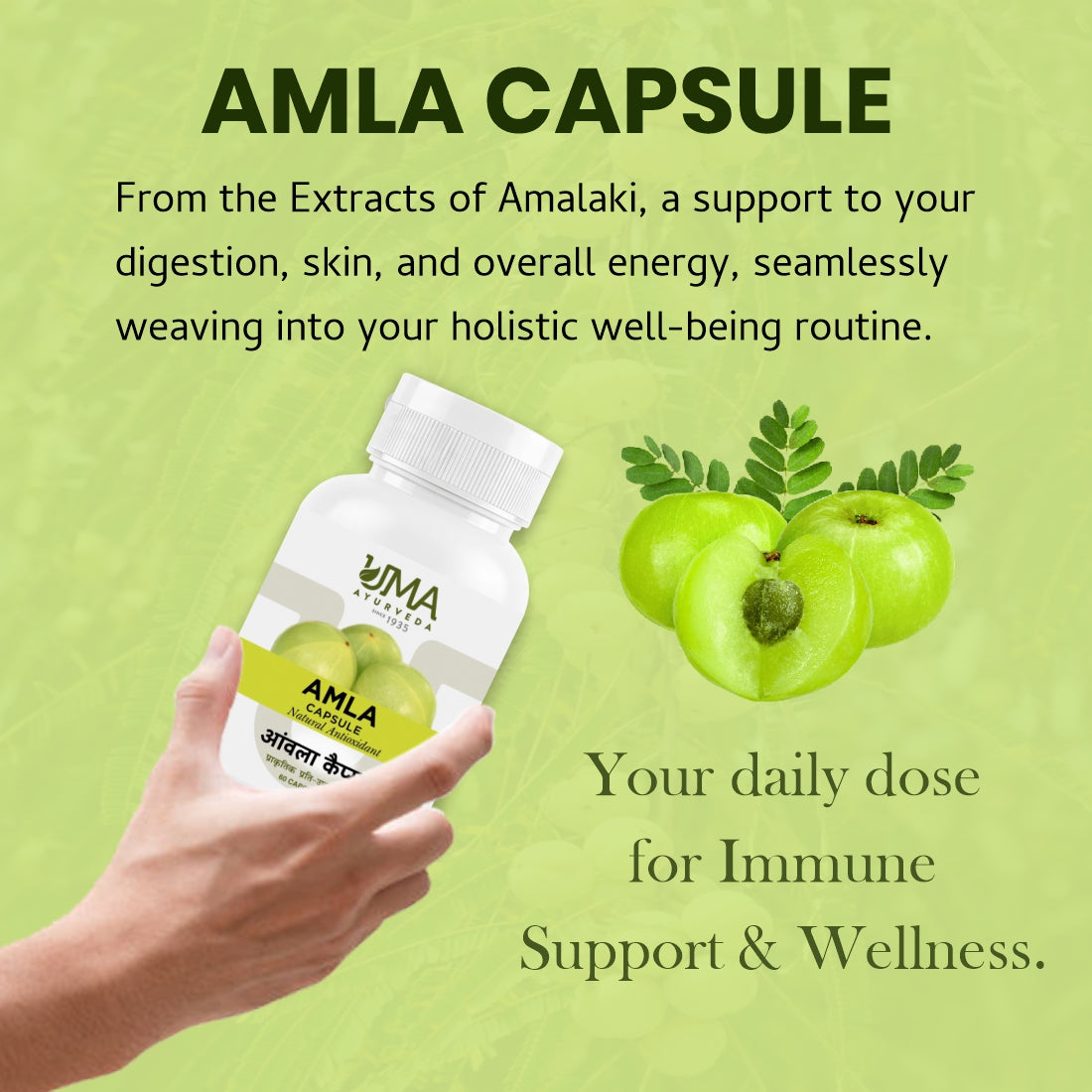 Amla Capsule | 60 Caps