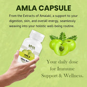 Amla Capsule | 60 Caps
