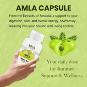 Amla + Tulsi Immunity Support Combo (Pack of 2)