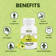 Amla Capsule | 60 Caps