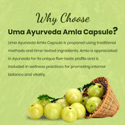 Amla Capsule | 60 Caps