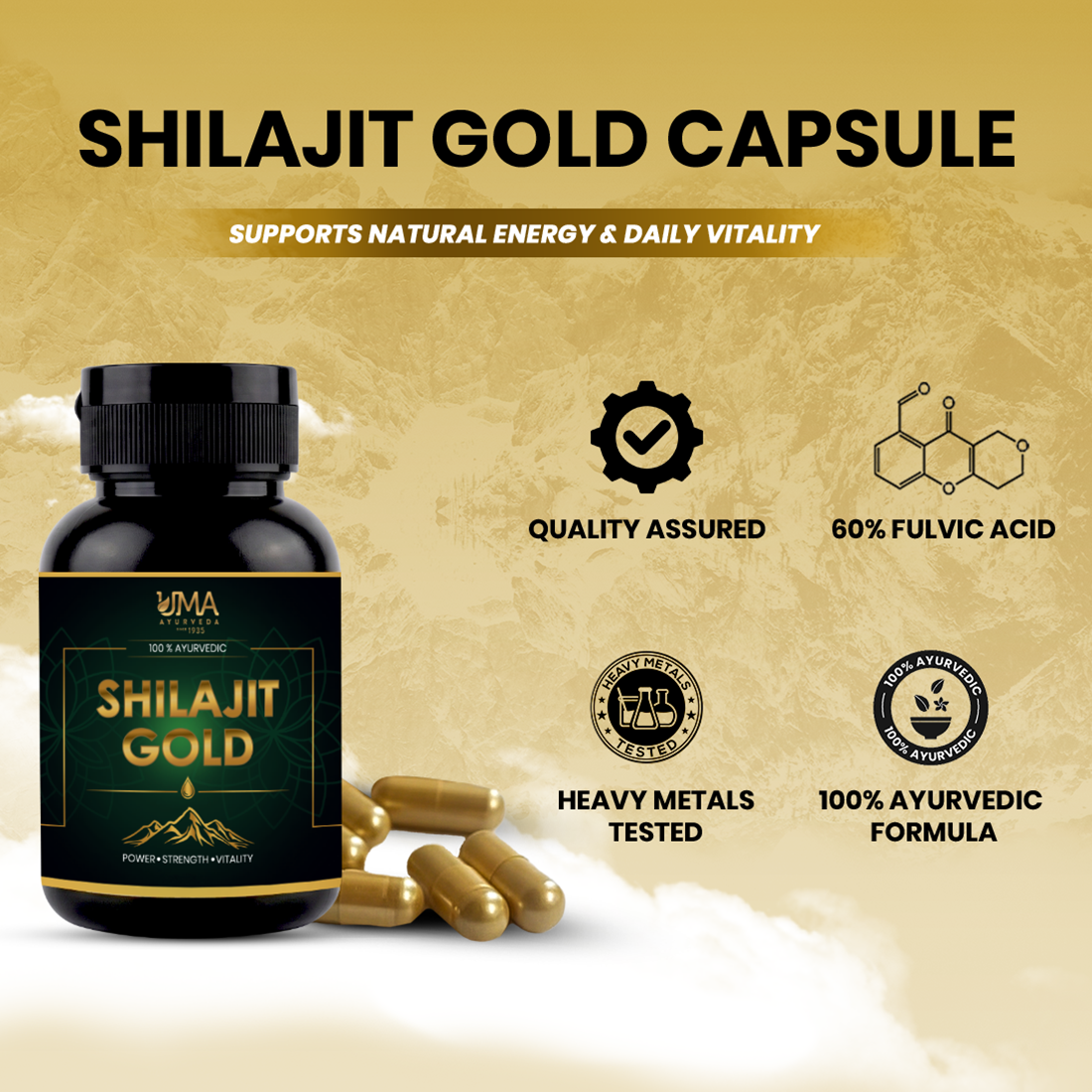 Shilajit Gold | Shilajit, Swarna, Rajat Bhasma & 7 Potent Herbs | 30 C