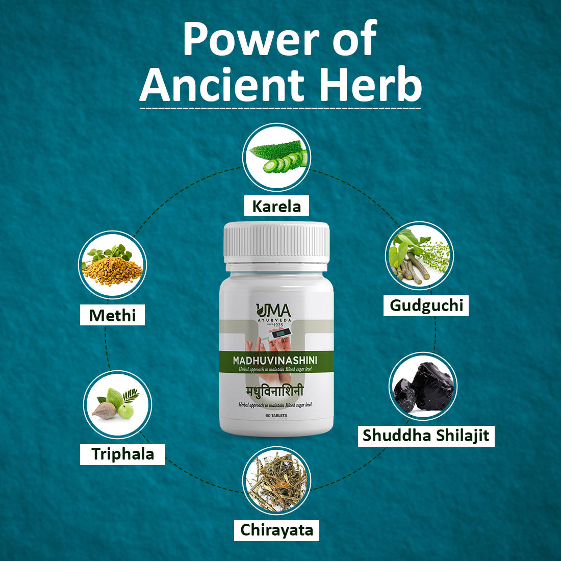 Madhuvinashini | Made with 10+ Herbs | 60 Tab