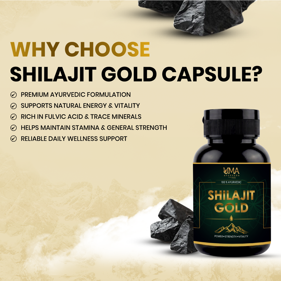 Shilajit Gold | Shilajit, Swarna, Rajat Bhasma & 7 Potent Herbs | 30 C