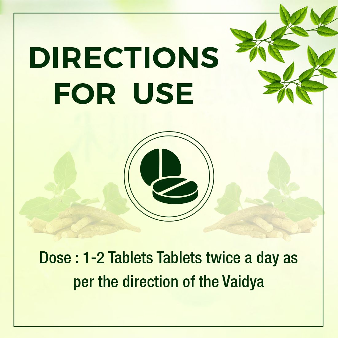 Ashwagandha Ghan Vati Tablet