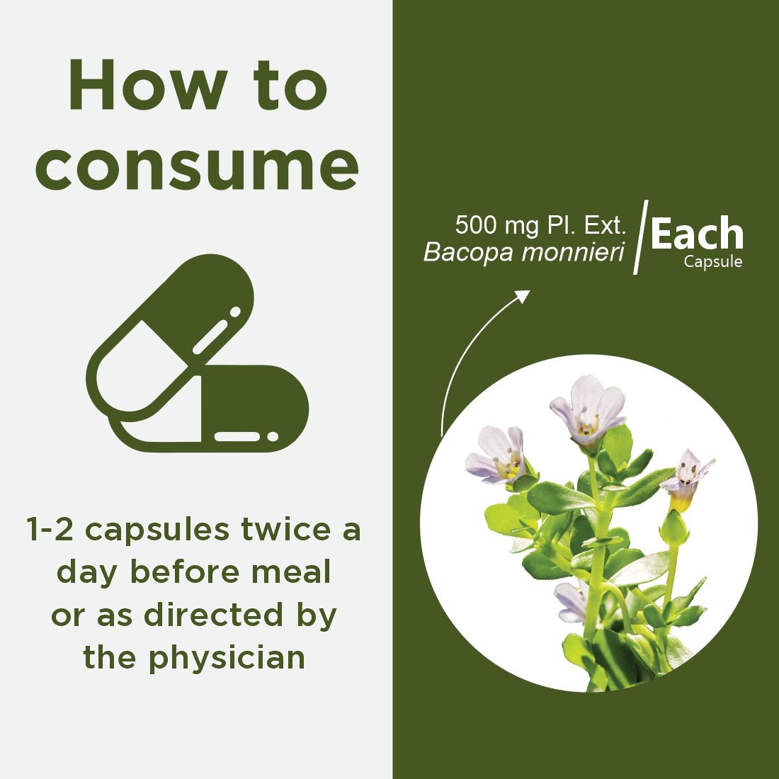 Brahmi Capsules | 60 Caps