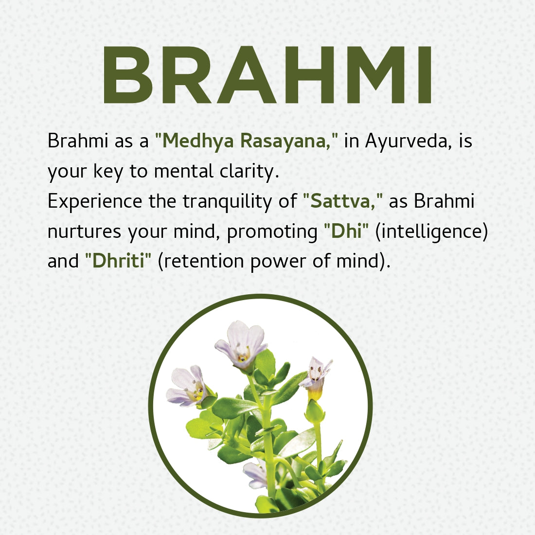 Brahmi Capsules | 60 Caps