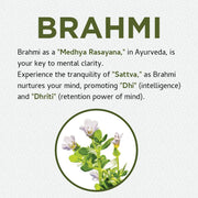 Brahmi Capsules | 60 Caps