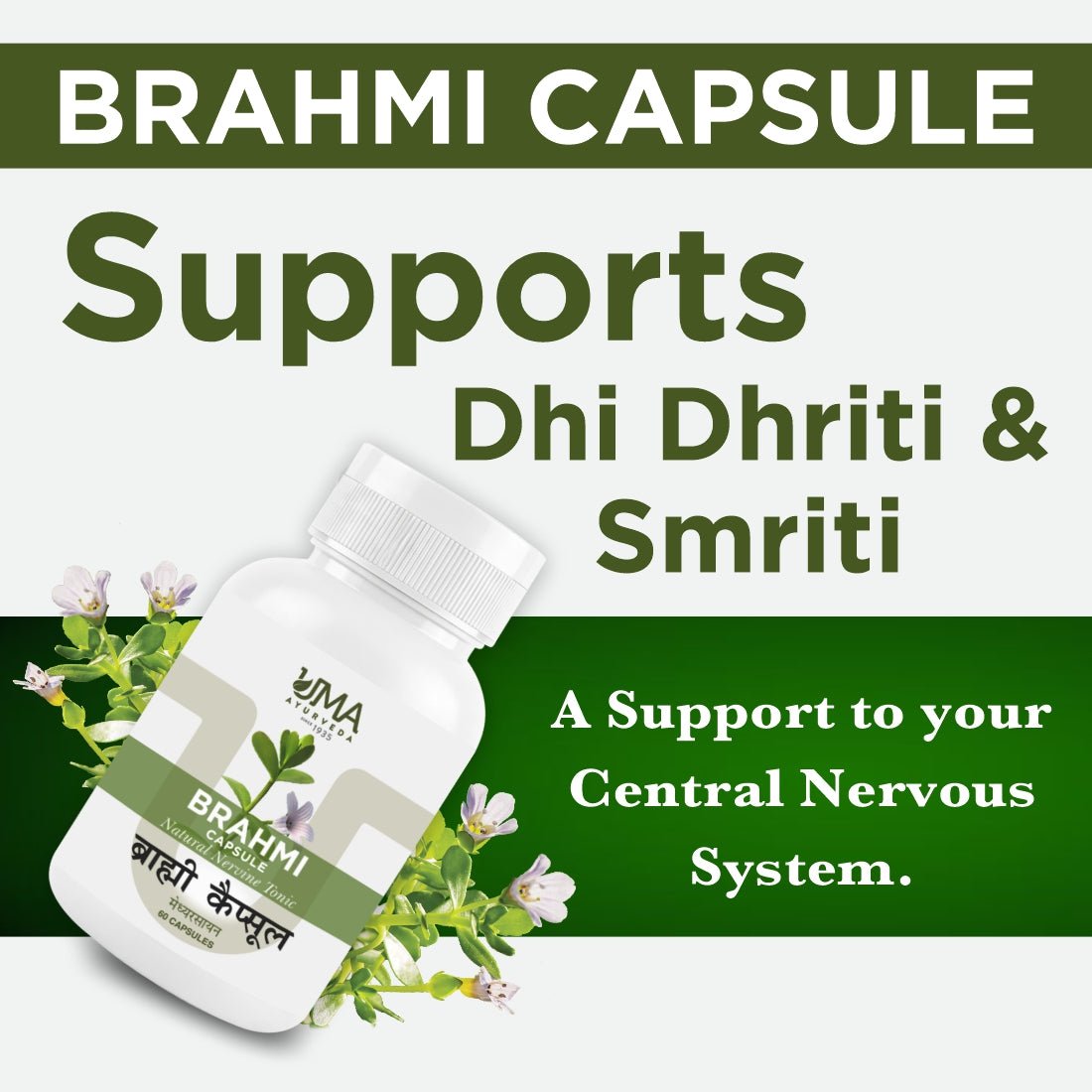 Brahmi Capsules | 60 Caps