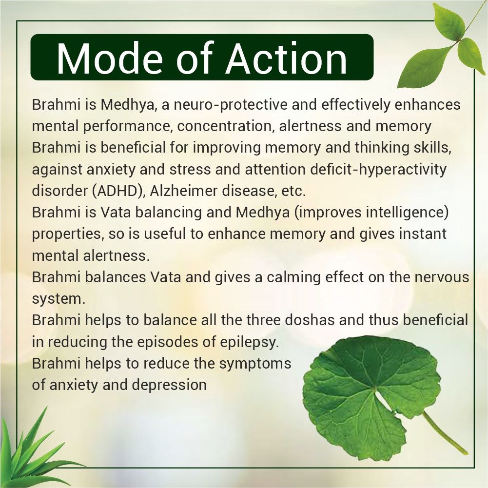 Brahmi Capsules | 60 Caps