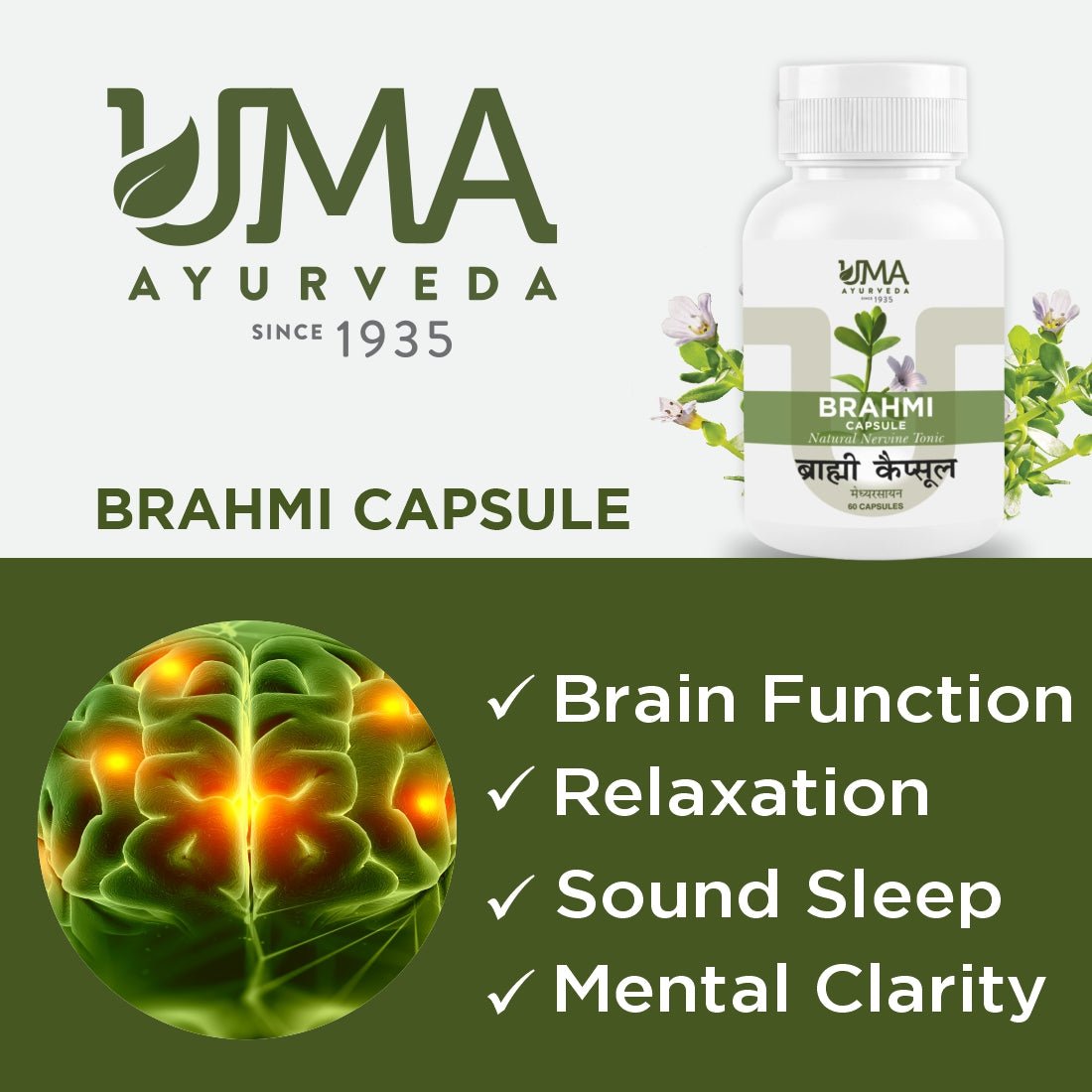 Brahmi Capsules | 60 Caps