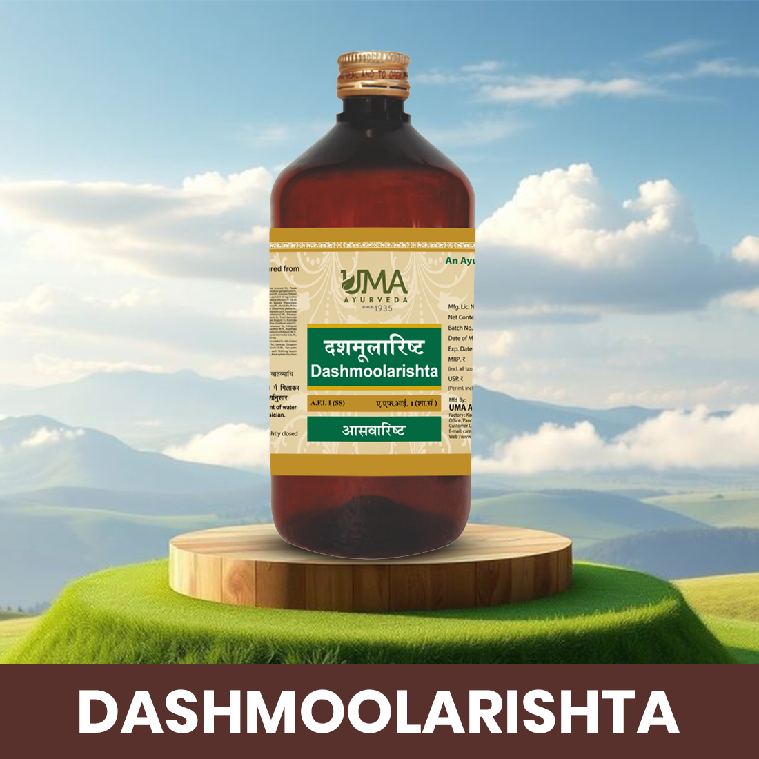 Dashmularishta Syrup | Classical Ayurvedic Wellness Formula | 450 ml