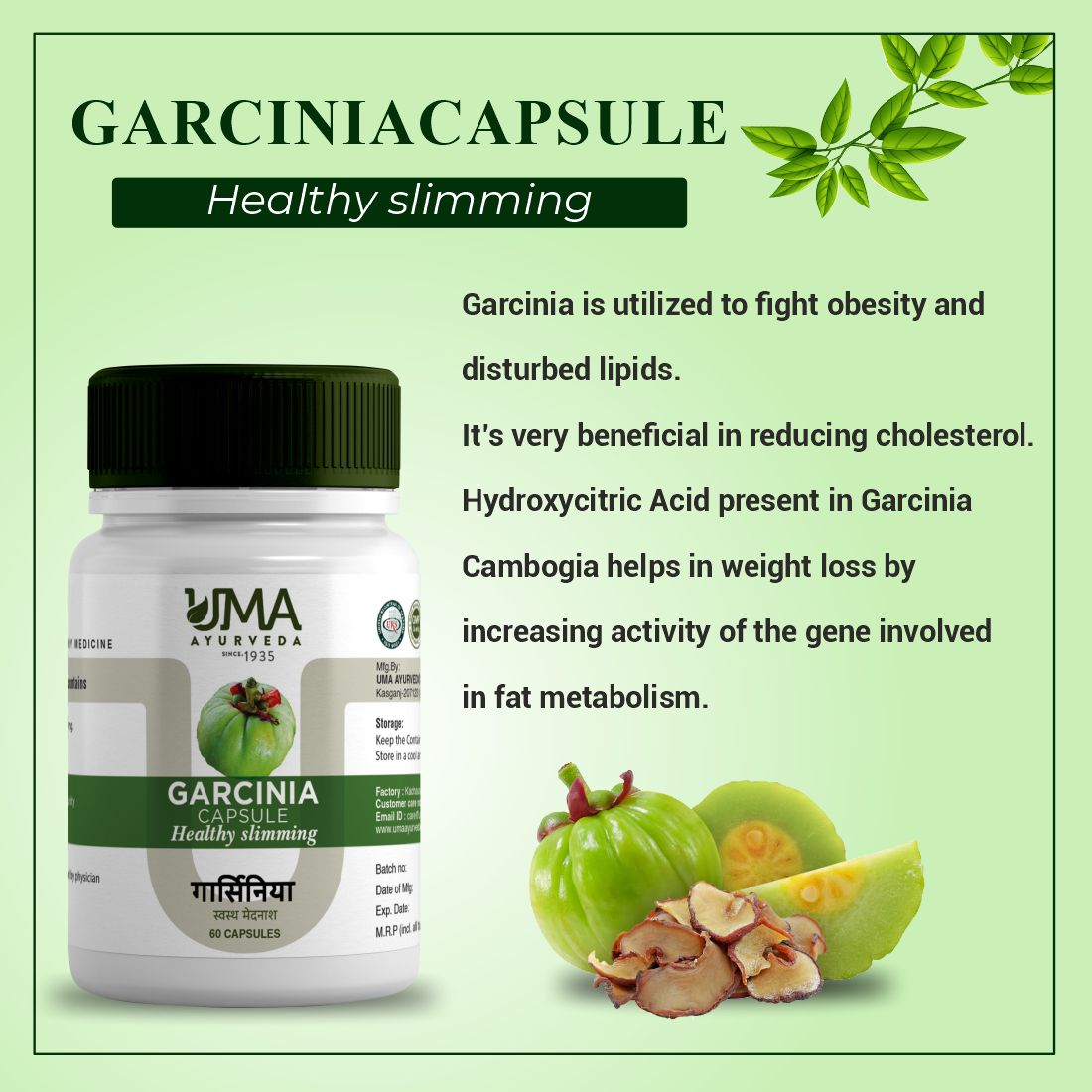 Garcinia Capsule | 60 Caps