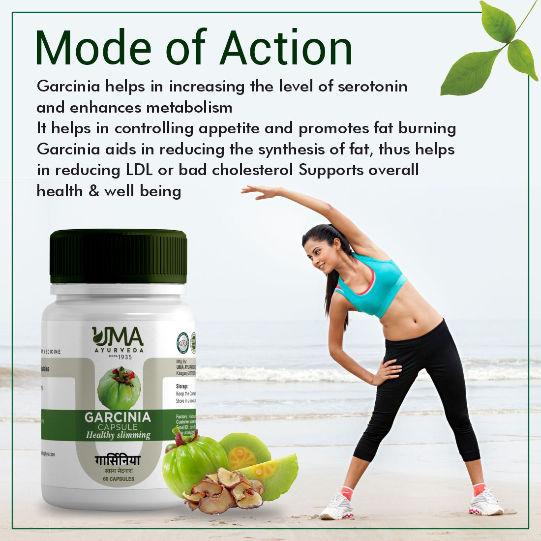 Garcinia Capsule | 60 Caps